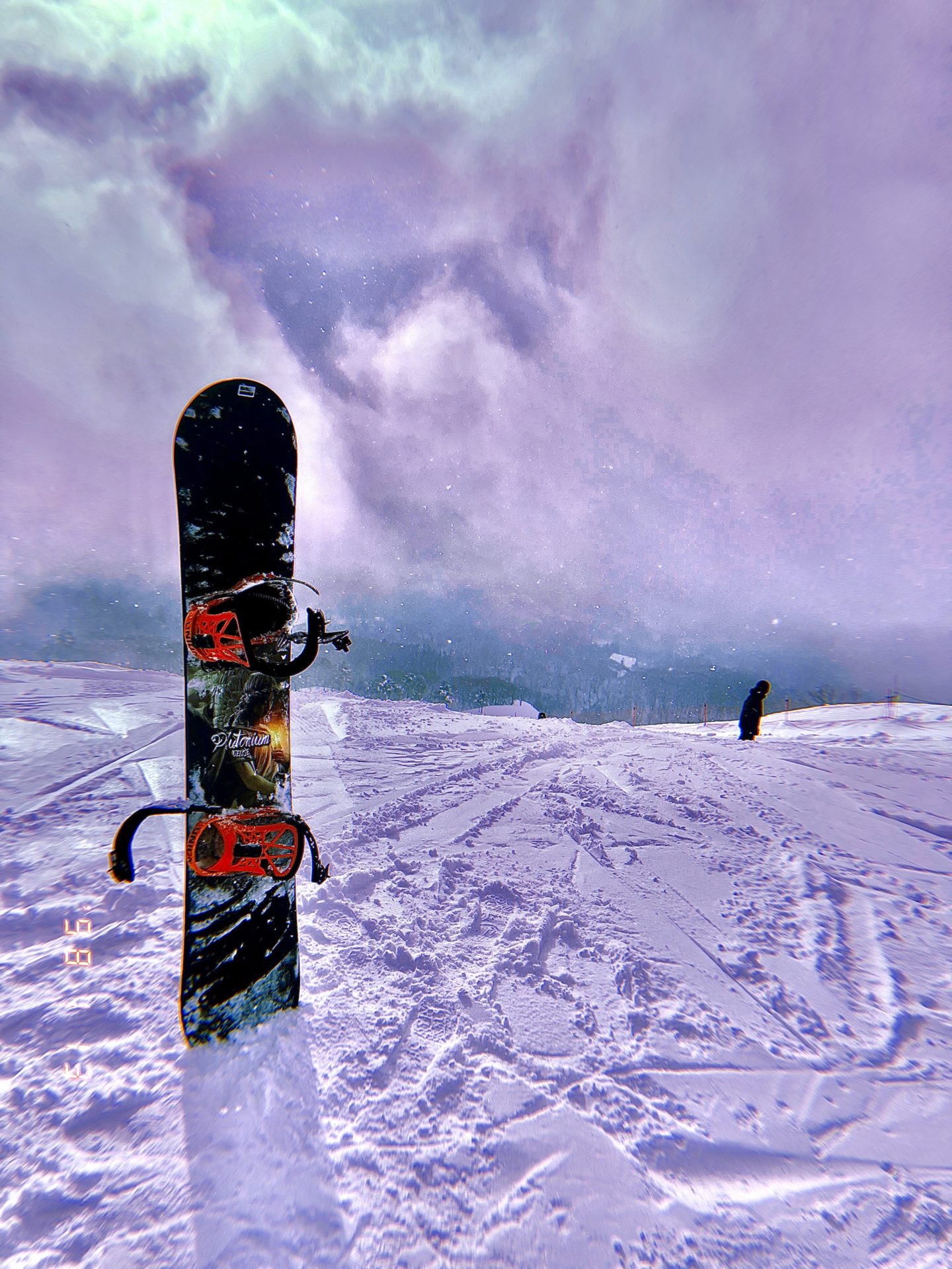 今シーズンも行ってきました。